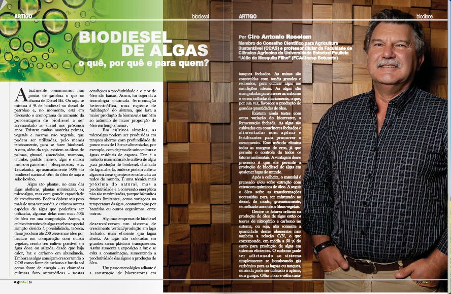 Revista Agro SA publica texto do conselheiro Ciro Rosolem