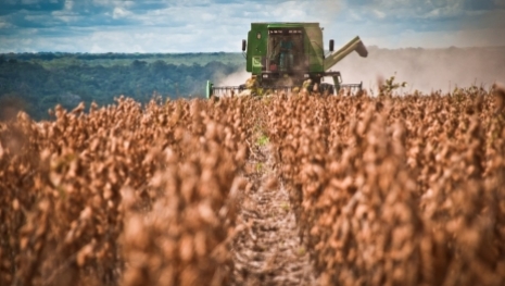 O Plano Safra do governo quer fazer crescer os pequenos produtores no Brasil