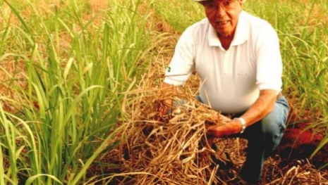 Engenheiro agrônomo Fernando Penteado Cardoso: uma profissão de fé pela agronomia e sustentabilidade