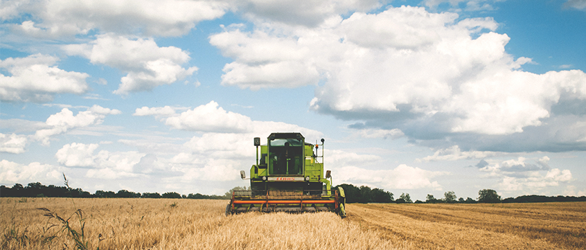 Conselho Científico Agro Sustentável