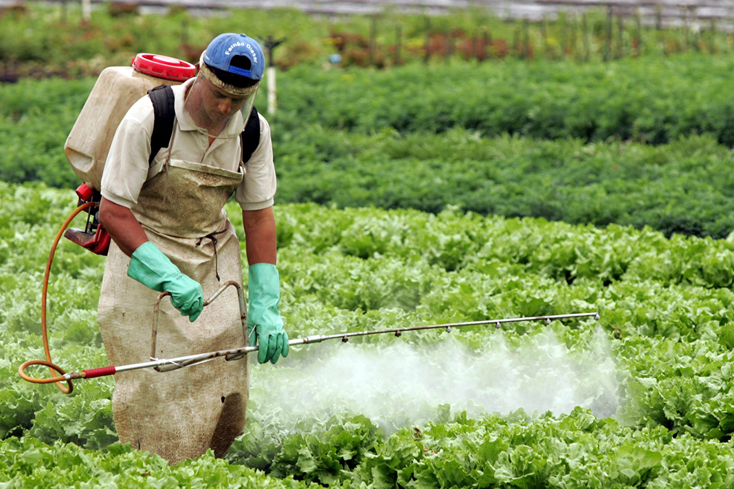 Reclassificação toxicológica de pesticidas agrícolas