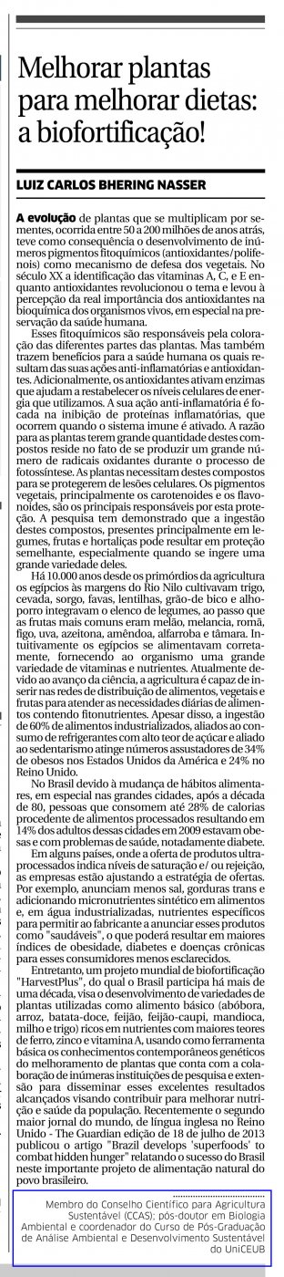 Jornal O Estado do Maranhão publica artigo de Luiz Carlos Bhering Nasser, conselheiro do CCAS