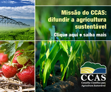 CCAS Contato